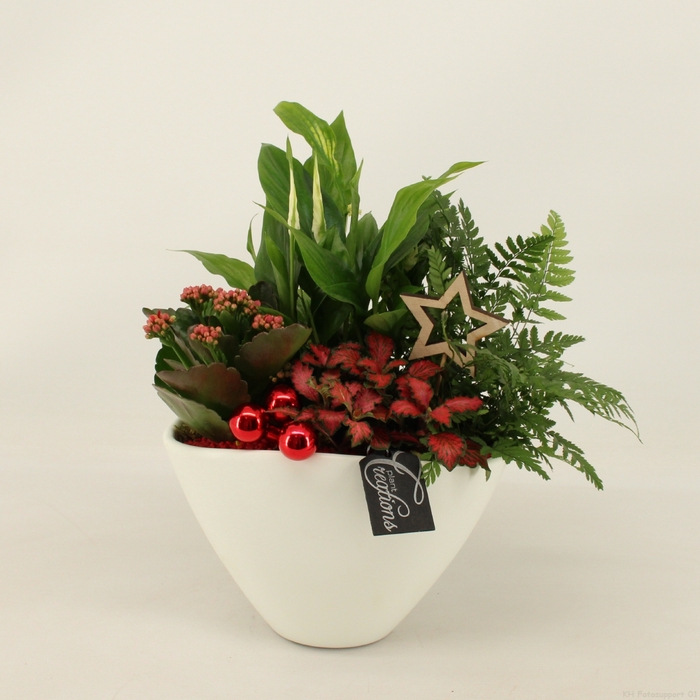 <h4>BAXM-2310R Xmas Fundamentals</h4>