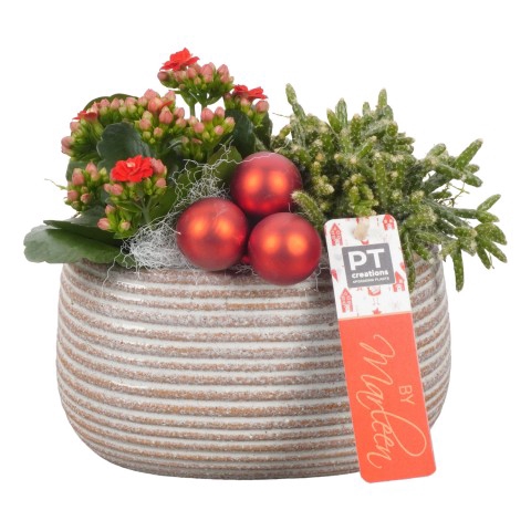 <h4>BMXM3449 Arrangementen Kerst</h4>