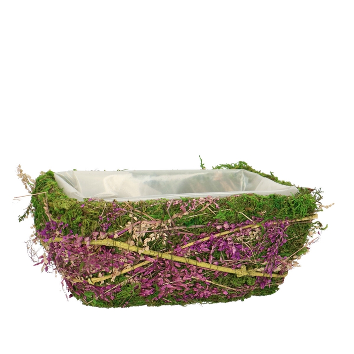 <h4>All Saints Moss planter 21*12*9cm</h4>