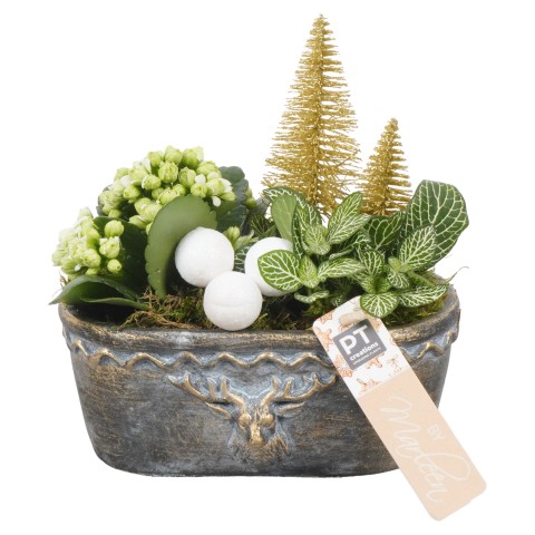 <h4>BMXM3458 Arrangementen Kerst</h4>