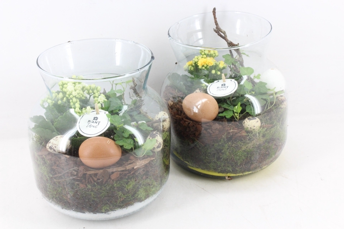 <h4>arr2 PL - Glas windlicht - geel/wit</h4>