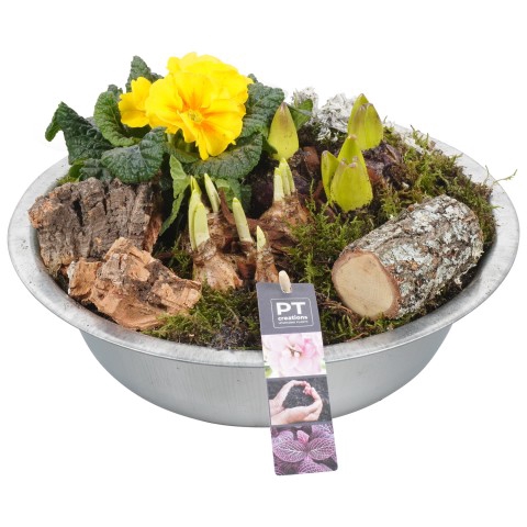 <h4>SA236 Arrangementen Tuinplanten</h4>
