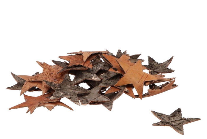 <h4>Natuur ster schors berk 7cm per 80 wk46</h4>