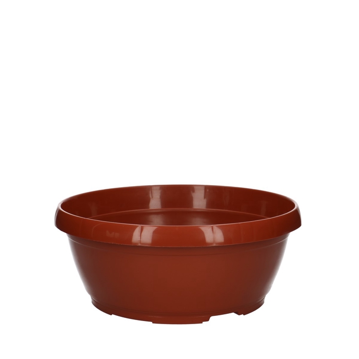 <h4>Plastic Bowl classic d25*11cm</h4>