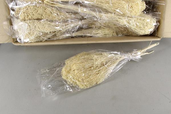 <h4>Df Broom Bloom Bleach Bs 140g</h4>
