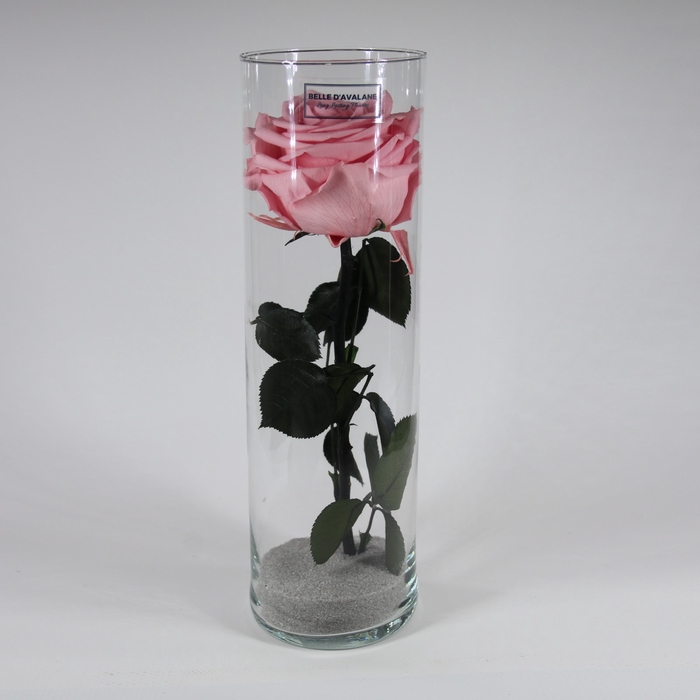 <h4>Cilinder d9x30h roze glas</h4>