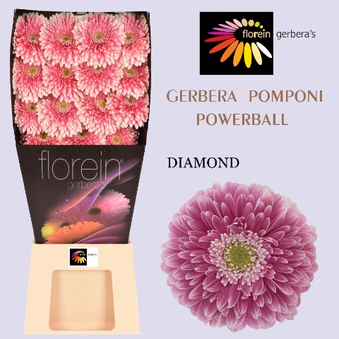 <h4>GE GB POM POWER BALL diamond x 45</h4>