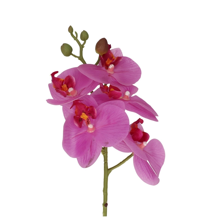 <h4>Silk Phalaenopsis 46cm</h4>