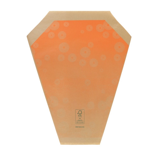 <h4>Hoezen Kraft Bright 50*44*12cm x50</h4>
