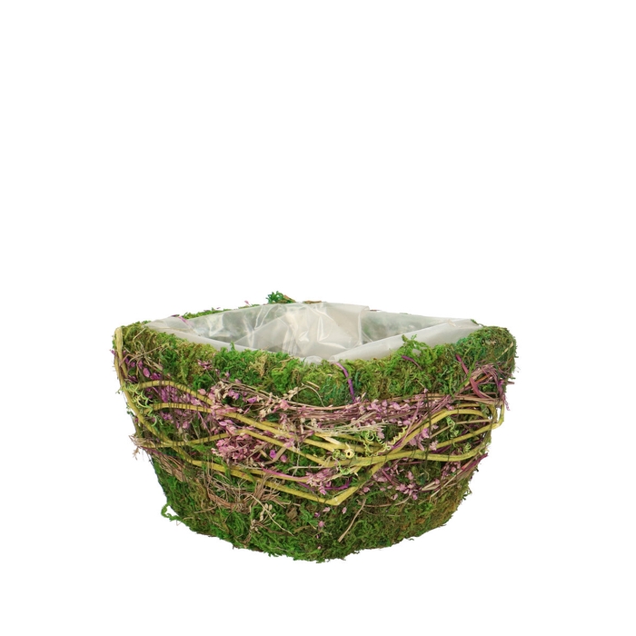 <h4>All Saints Moss planter 14*14*9cm</h4>