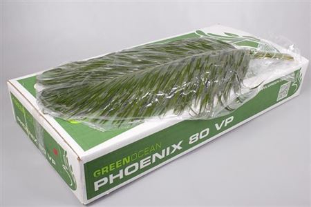 <h4>Phoenix 80cm Vac Pac</h4>