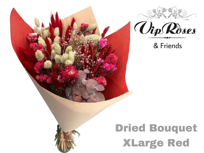 <h4>DRIED BOUQUET XLARGE RED</h4>