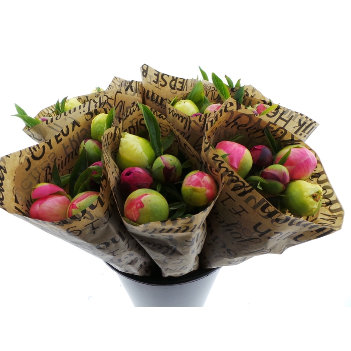 <h4>Bouquet Peony Jacky</h4>