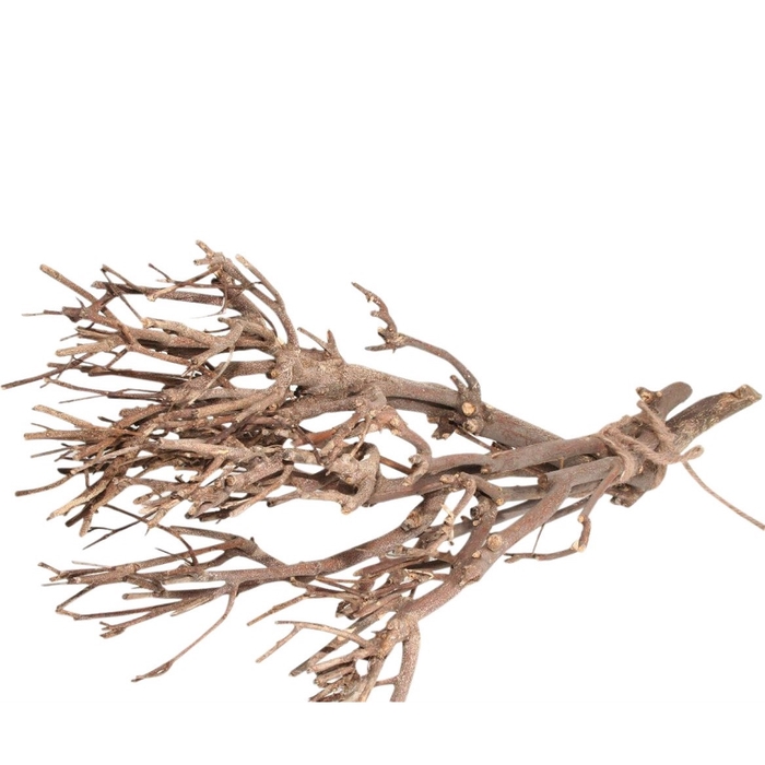 <h4>Droogdeco Twijgbundel 30-45cm</h4>