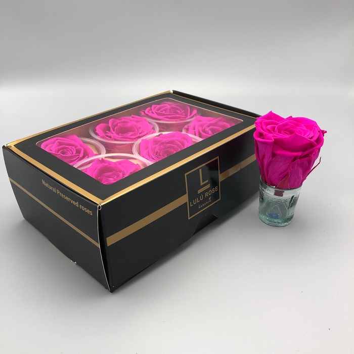 new balance 896 purper