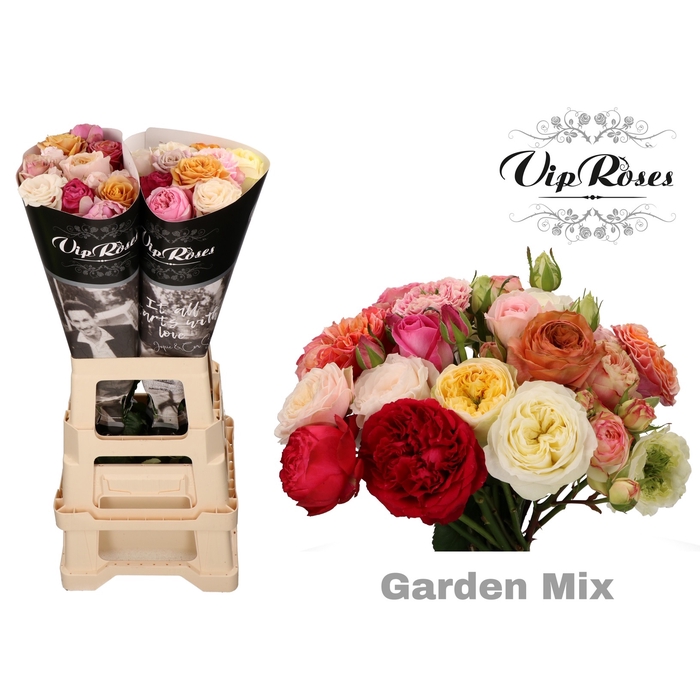 Vip Roses Webshop