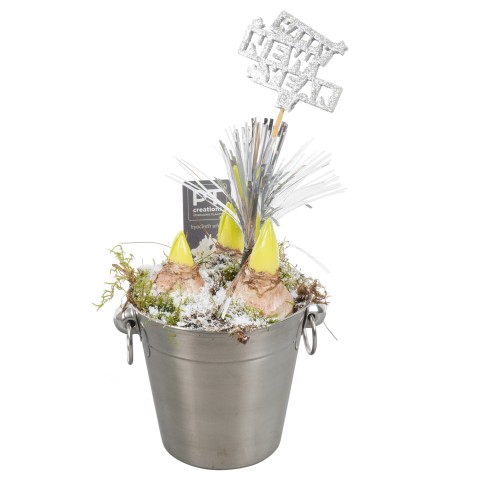 <h4>PTHN7205 Arrangementen kamerplanten</h4>