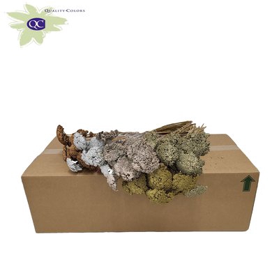 <h4>Achillea per stem mixed colours metallic</h4>