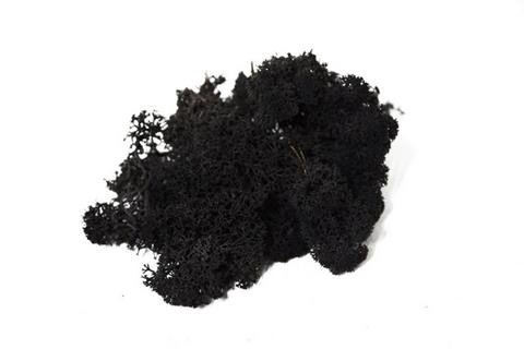 <h4>Moss iceland paint black</h4>