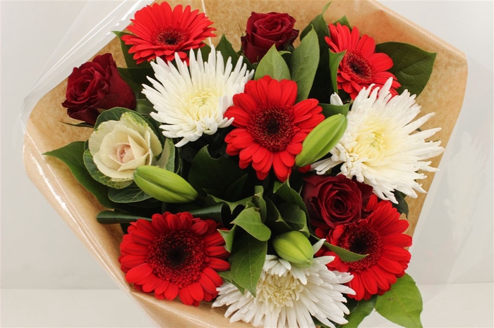 Dried Daisy White Flowers,250+ Real Chrysanthemum Rhodanthe Daisies Flower  Head Length 17'' Gerber Daisies for vase, Bouquet, Flower Arrangements