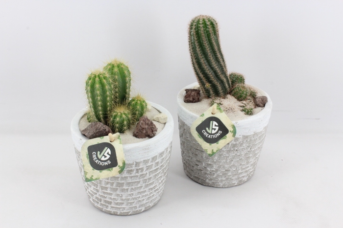 <h4>arr2 JS - Beton pot cactus</h4>