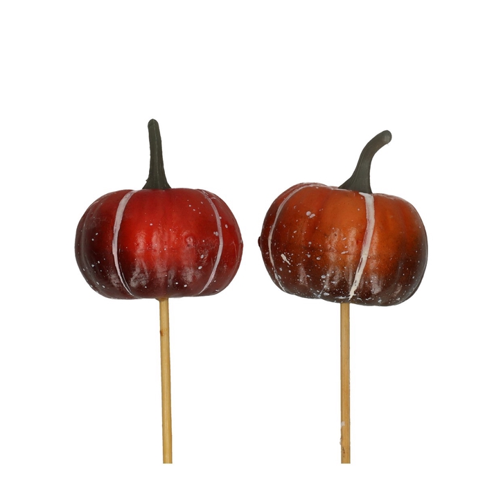 <h4>Bijsteker 50cm Pompoen 6cm</h4>