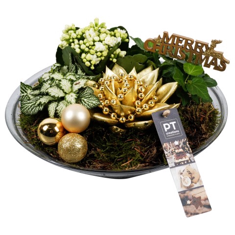 <h4>PTCHG5108 Arrangementen Kerst</h4>