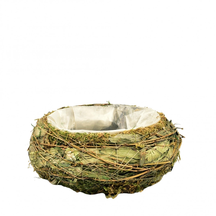 <h4>Dried articles Planter d20*8cm</h4>