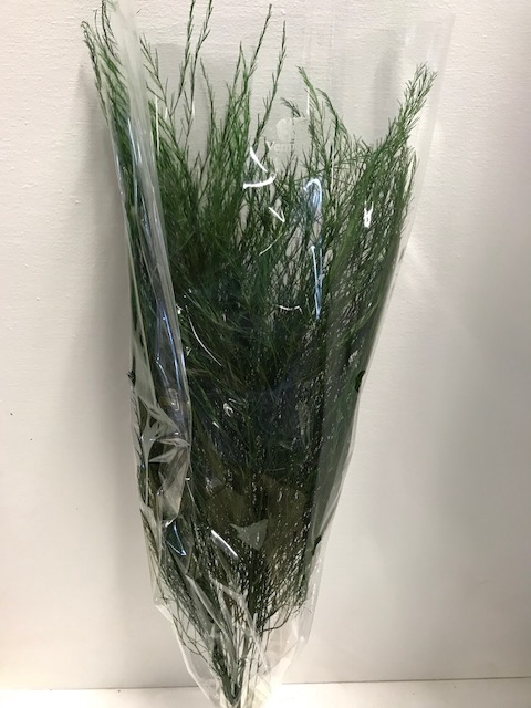 <h4>Asparagus groen</h4>