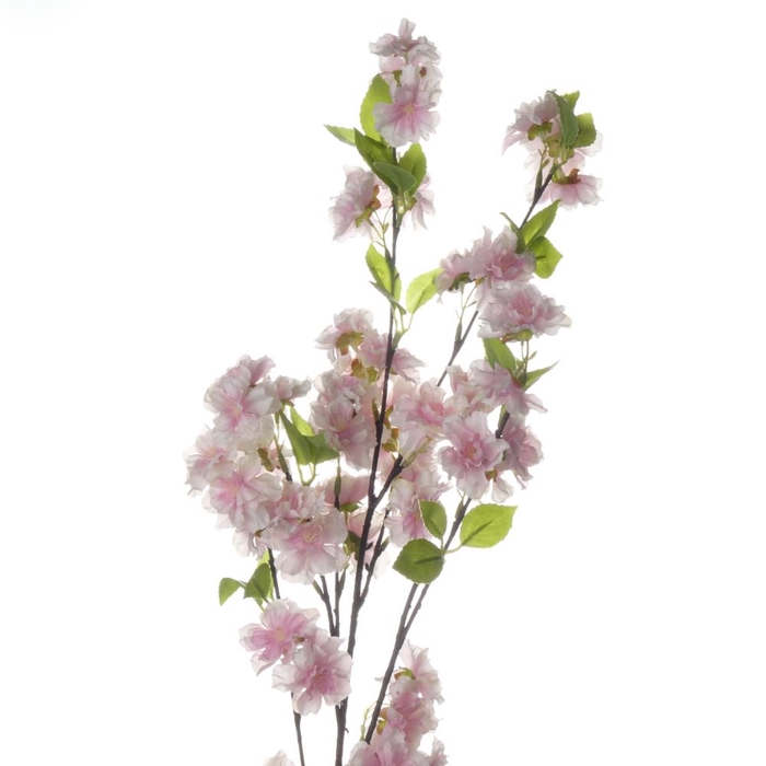 <h4>Af Bloesem L88cm Roze</h4>