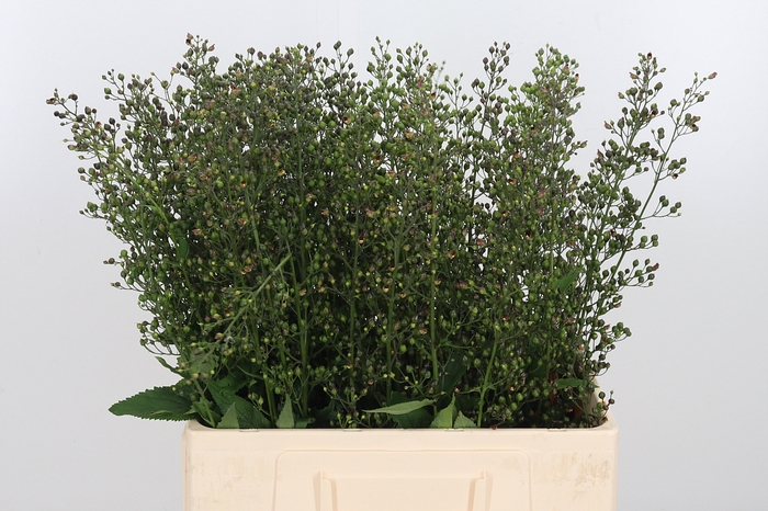 3Pcs Artificial Outdoor Plants Fake Plastic Greenery Shrubs Wheat Grass Bush asd