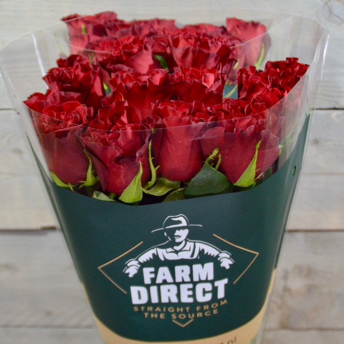 <h4>R GR HEARTS BOX</h4>