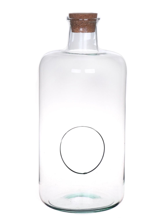 <h4>DF01-883554000 - Terrarium Bovey d7.5/15xh33 Eco + cork</h4>