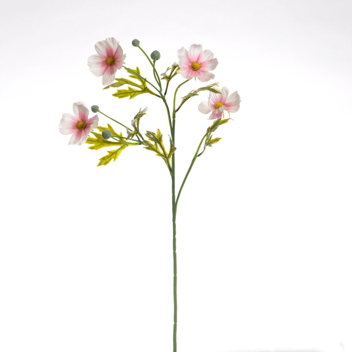 <h4>Af Cosmea L55cm Licht Roze</h4>