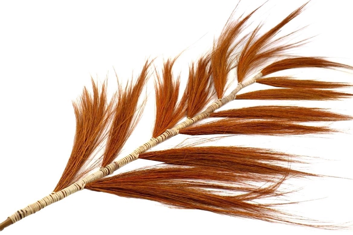 <h4>Deco Stem Feather Grain Wide 210cm Orange</h4>