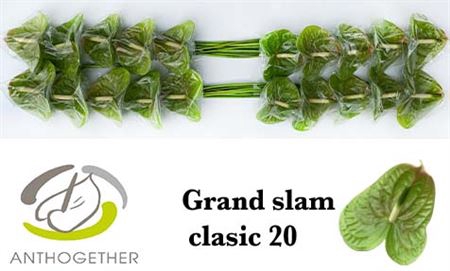 <h4>Anth A Grand Slam Classic 20</h4>