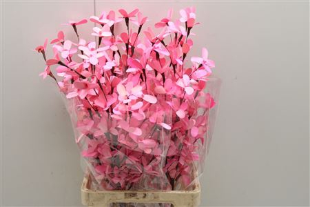 <h4>Butterfly Flower Dark Pink</h4>