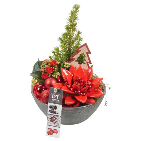 <h4>PTCHR4206 Arrangementen Kerst</h4>