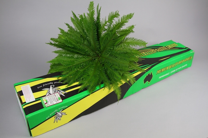<h4>Decorative green per bunch</h4>