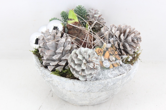 <h4>arr4 Amaryllis MB300 - Ker. beton look</h4>