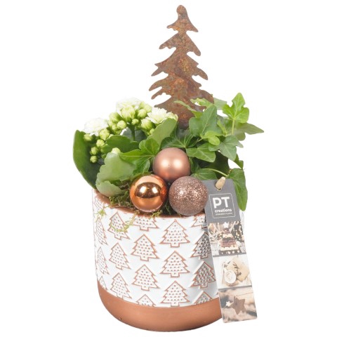 <h4>PTCHB6064 Arrangementen Kerst</h4>