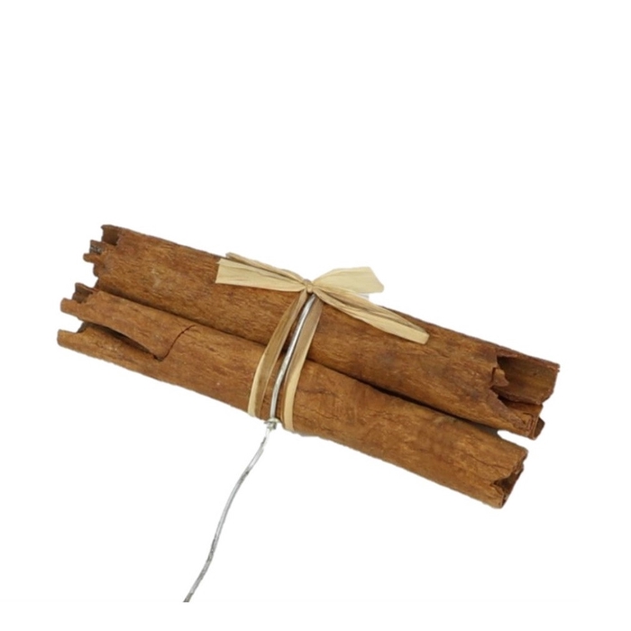 <h4>Droogvrucht Kaneel+raffia/draad x12</h4>