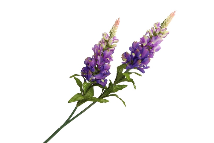 <h4>Silk Lavendel 2x Lila 90cm</h4>