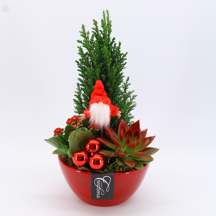 <h4>XMAS-23032 Kerst creatie</h4>