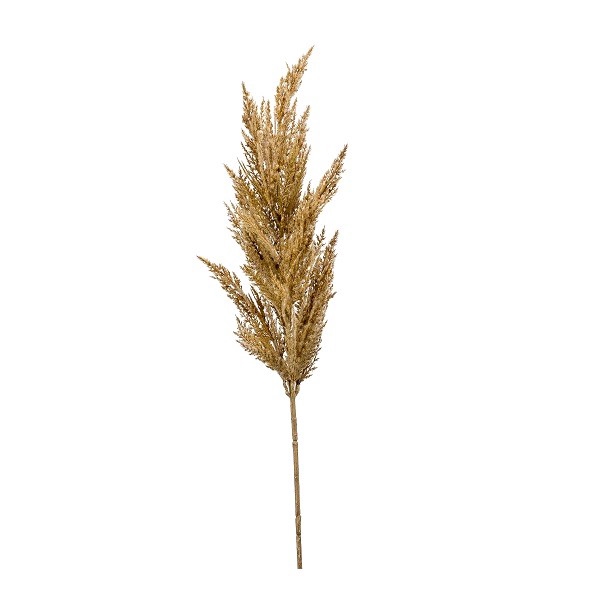 <h4>Silk Pampus grass 92cm</h4>