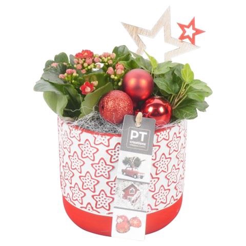 <h4>Arr. Kerst L%</h4>
