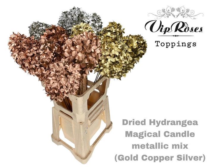 <h4>DRIED HYDRANGEA MAGICAL CANDLE METALLIC MIX</h4>