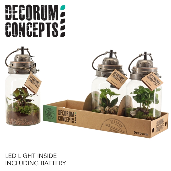 <h4>Terrarium Stormlamp (Decorum Concepts)</h4>