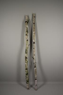 <h4>Birch Trunk 4-6cm 200cm</h4>