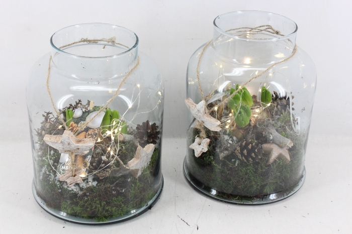 <h4>arr4 Multiflora03 - Glas Venice led</h4>